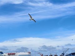 -海驴岛(荣成市)