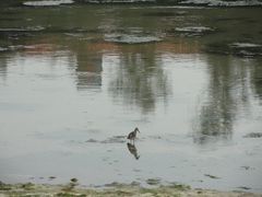 -龙舟池