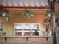 -柴犬高等学院·狗咖·柴犬售卖·宠物训练