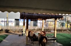 -萌宠亲子动物乐园(槐房万达店)