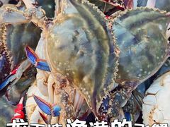 -龙王塘渔港