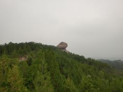 -磬锤峰森林公园