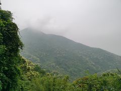 -梧桐山风景名胜区