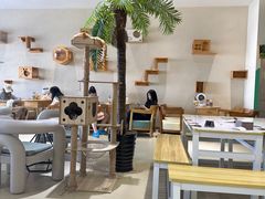 -藏猫猫咖啡主题馆(中央大道店)