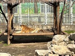 -西安秦岭野生动物园