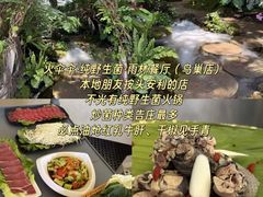 -西双版纳原始森林公园