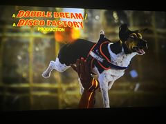 -华美国际影城(旧宫永辉店)