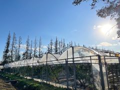 -前小桔亲子创意农场·草莓采摘·露营烧烤