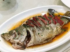 清蒸鳜鱼-三元宾馆-中餐厅