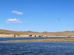 -塞罕坝国家级自然保护区