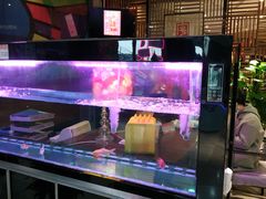 -西安饭庄(立丰国际店)