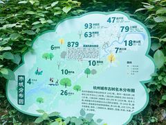 -云栖竹径