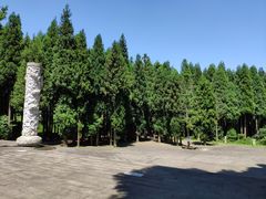 -武陵山森林公园