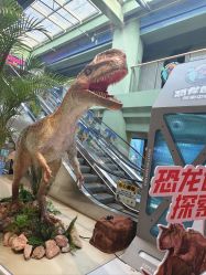 -造物庄园 萌宠纪(苏州湾歌林公园店)