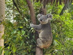 -广州长隆国际大马戏