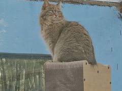 -青藏高原野生动物园