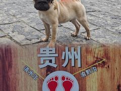 -边城茶峒景区