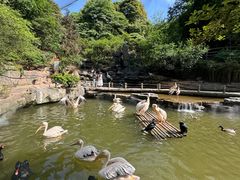 -碧峰峡风景区