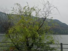 -花岙岛
