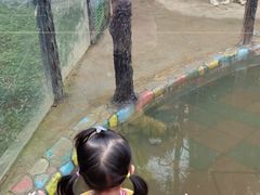 -贵州森林野生动物园