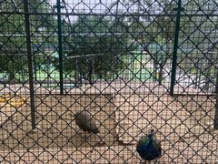 -北京鹿世界主题园