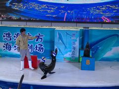 -成都浩海立方海洋公园