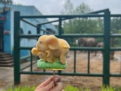 -秦皇岛野生动物园