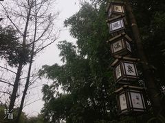 -天赐温泉