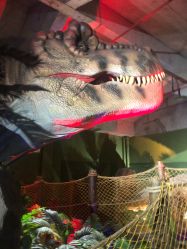 -恐龙探索乐园(磁器口店)