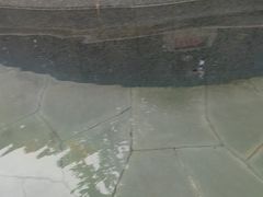 -太白山御龙湾温泉