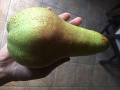 意大利农场-意大利农场度假村