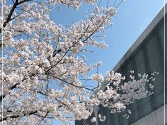 -龙美术馆(西岸馆)