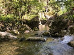 -牛背梁国家森林公园
