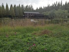 -黄海国家森林公园