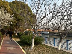 -高东镇樱花园