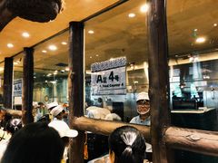 -雨林餐厅(长隆海洋王国店)