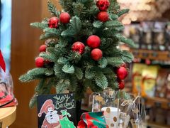 -星巴克臻选(成都宽窄巷子店)