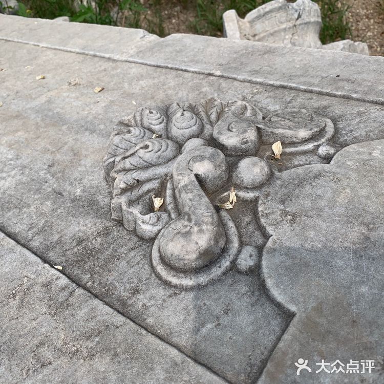 圆明圆-最美的后花园🥀🥀🥀