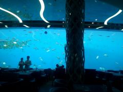 -瑞德姆美人鱼海底演艺主题餐厅(亚龙湾店)