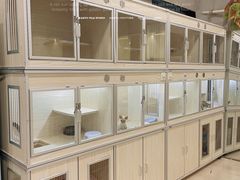 -十年猫舍·猫咪专门店(普陀店)