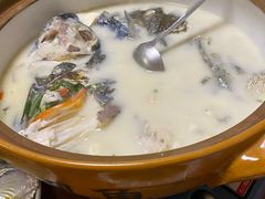 -全乐鱼馆·淳牌有机鱼直营店