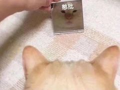 -霄汉羊排(万松园一店)