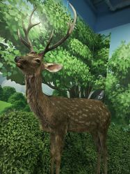 -酷嗒动物文化乐园(cutezoo西溪乐天城店)