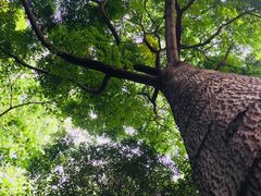 -成都市活水公园