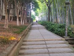 -上海市保健医疗中心