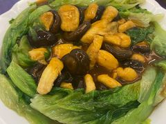 麒麟扣鱼腐-老乡村美食农庄