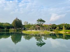 -四海公园(南山区)