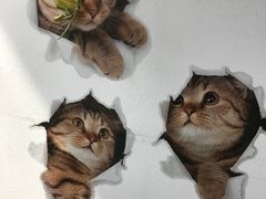 -吉丁鸟咖·异宠·寄养