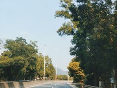 -悦城龙母祖庙