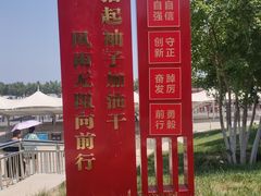 -荷花大观园